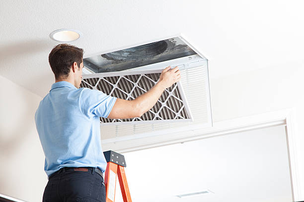 Best Best HVAC companies  in Denison, IA